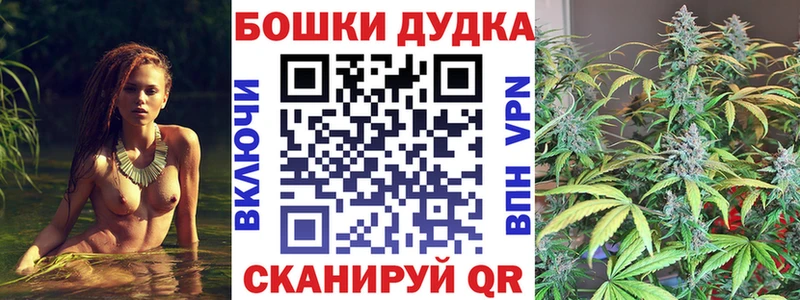 Купить наркотики цена Троицк APVP  Cocaine  Гашиш  гидра зеркало  Каннабис  Мефедрон 