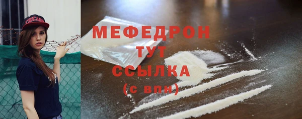 индика Бородино