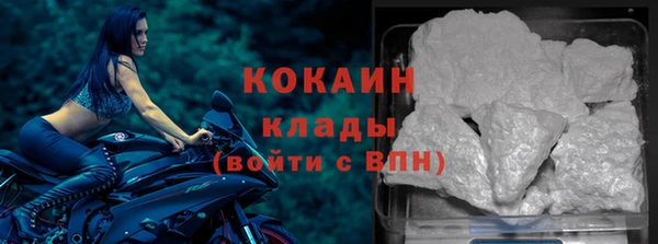 индика Бородино
