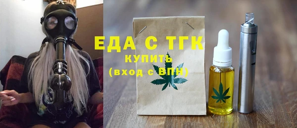 индика Бородино