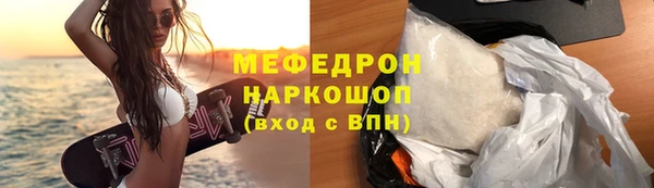 индика Бородино