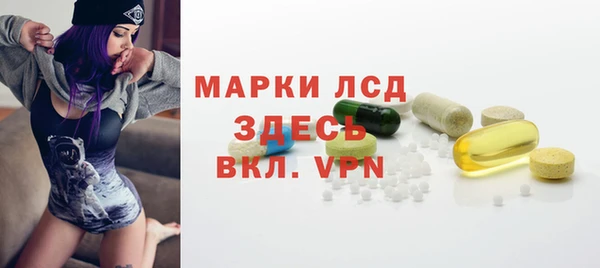 индика Бородино