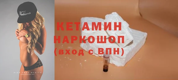 индика Бородино