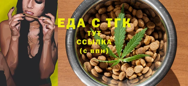 индика Бородино