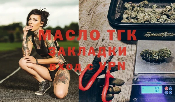 индика Бородино