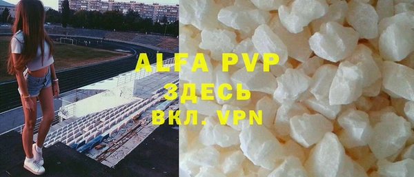 индика Бородино