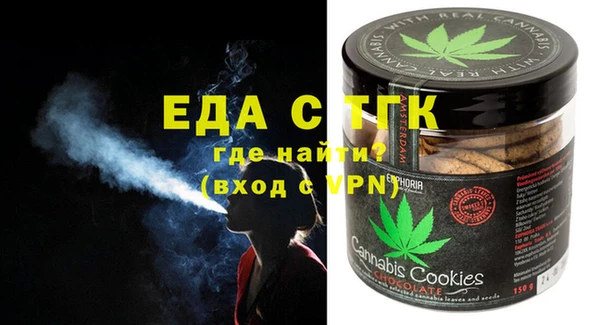 индика Бородино
