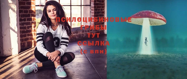 индика Бородино
