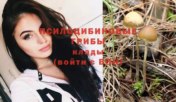 индика Бородино