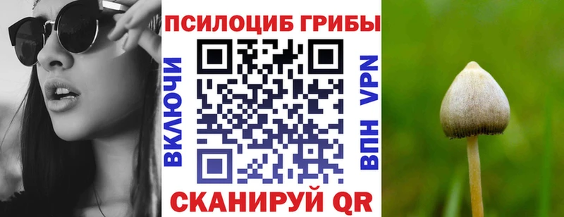 Псилоцибиновые грибы прущие грибы Троицк